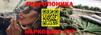 гидропоника Волжск