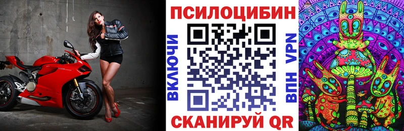 Галлюциногенные грибы Cubensis  где купить наркотик  Глазов 