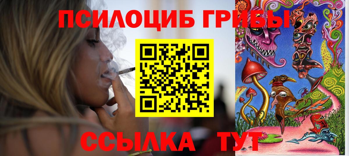 Псилоцибиновые грибы Psilocybe Глазов