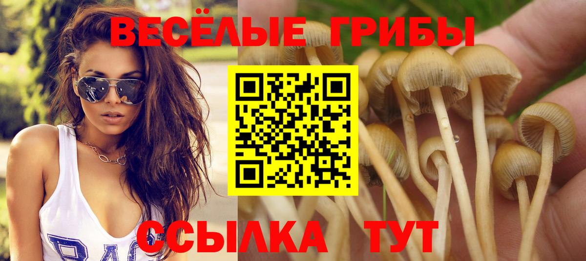 Галлюциногенные грибы Magic Shrooms  Глазов 