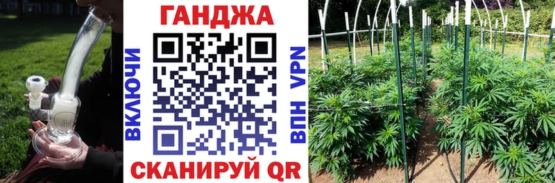 дарнет шоп ссылка на мегу рабочий сайт Канабис Amnesia Глазов